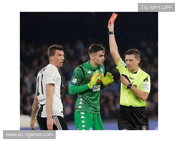 意甲国际裁判交换项目，执法经验交流